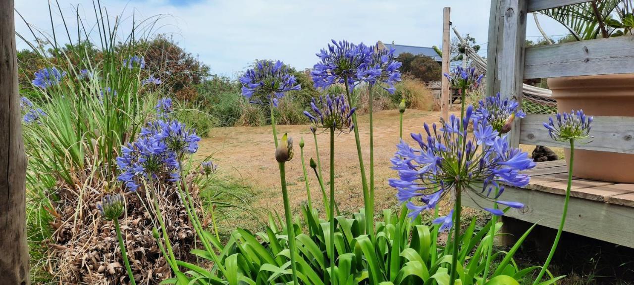 Willa Dejeps Punta Del Diablo Zewnętrze zdjęcie